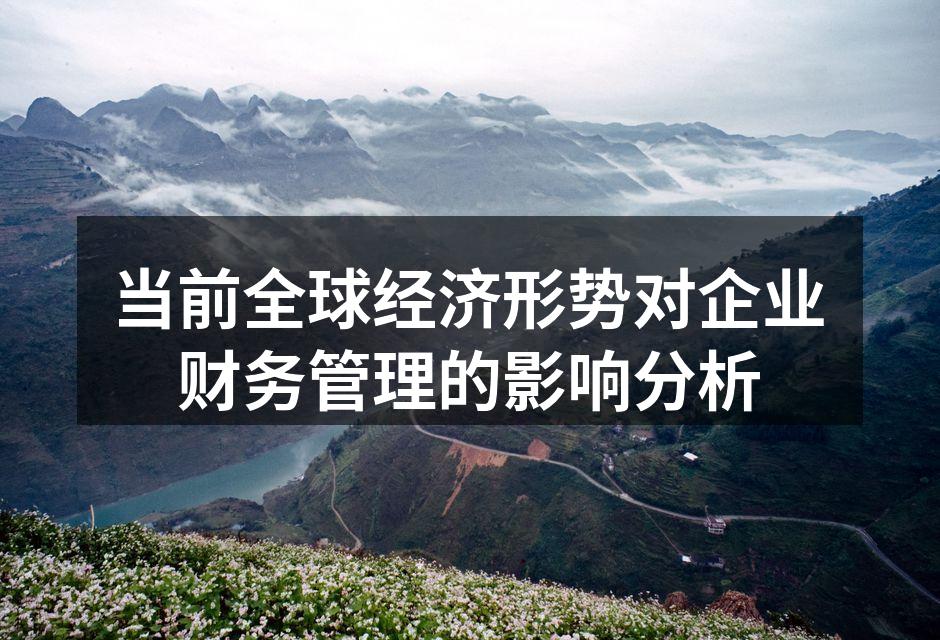 当前全球经济形势对企业财务管理的影响分析