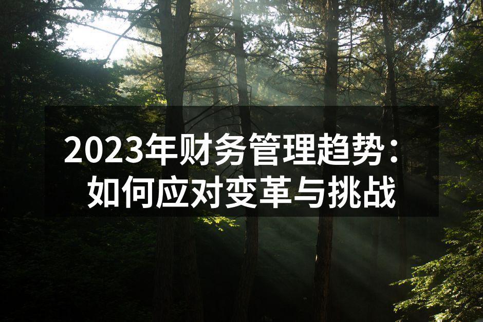 2023年财务管理趋势：如何应对变革与挑