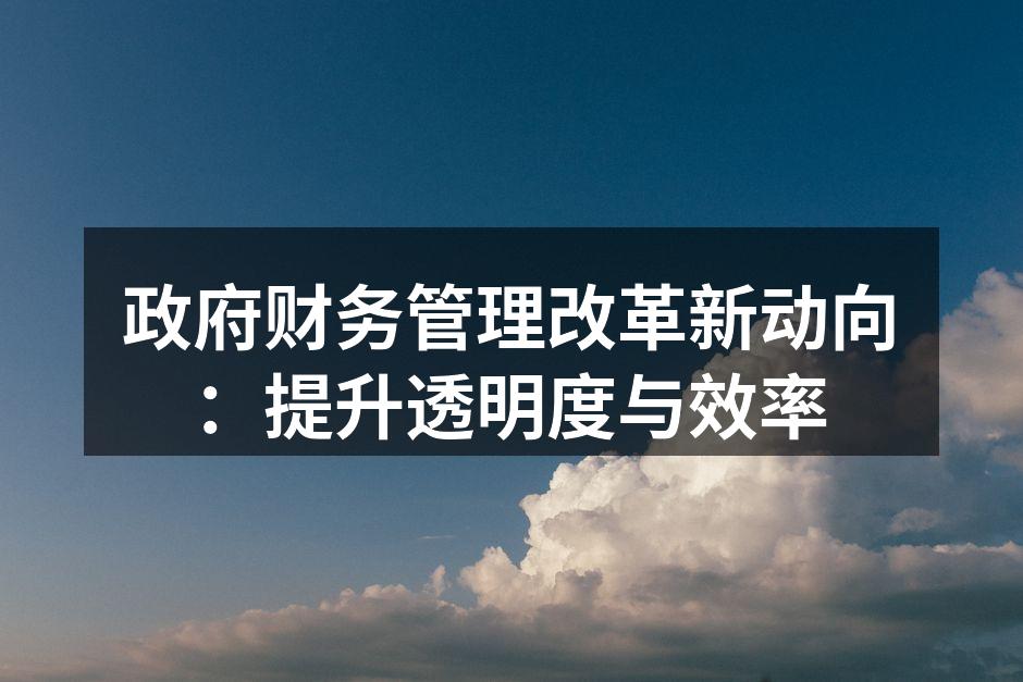 政府财务管理改革新动向：提升透明度与效率