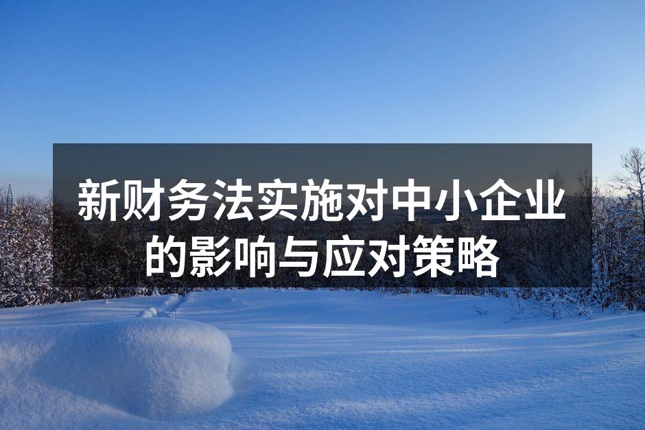 新财务法实施对中小企业的影响与应对策略